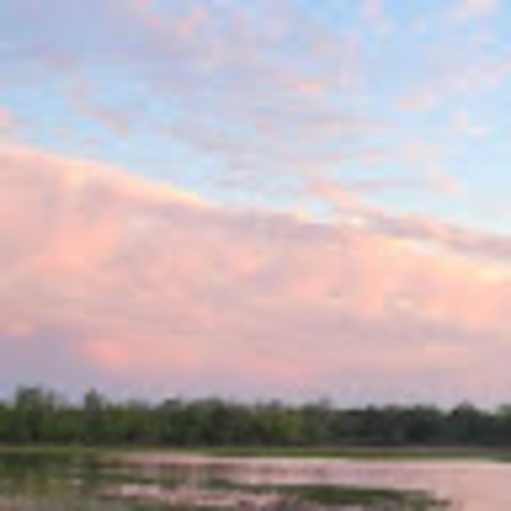 Meet your Posher, Yessenia